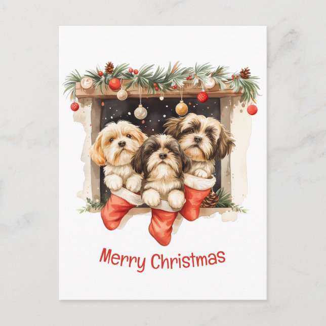 Cartão Postal Feliz Natal Shih Tzu Dogs (Frente)