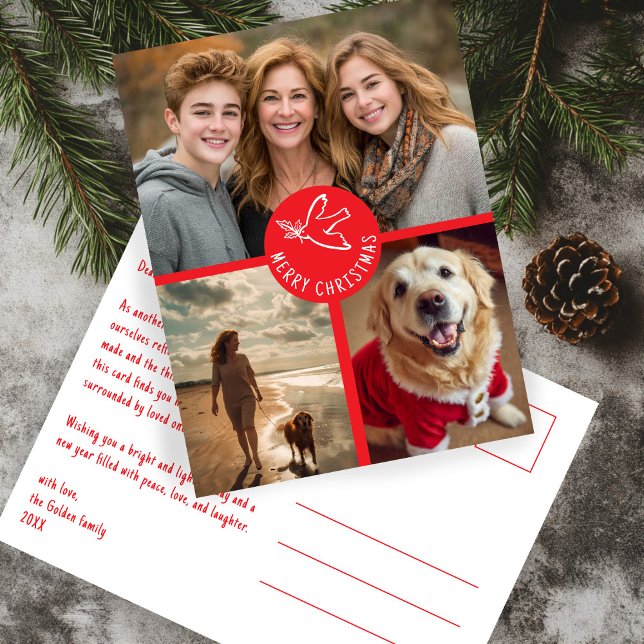 CARTÃO POSTAL FELIZ NATAL SIMPLES POMBA CUSTOM 3 FOTO FÉRIAS (MERRY CHRISTMAS Simple Dove CUSTOM 3 PHOTO red Holiday Postcard
)