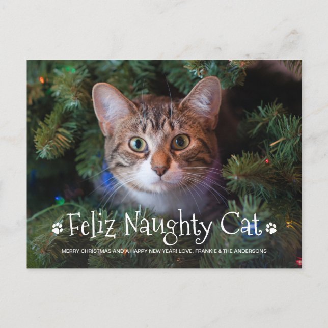Cartão Postal Feliz Naughty Cat Funny Personalizado Foto de Pet  (Frente)