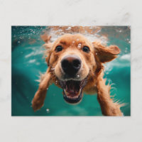 Feliz Ouro Retriever Nadando Embágua