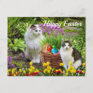 Cartão Postal Feliz Páscoa do seu feriado de gato