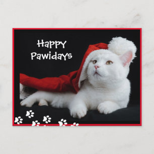 Cartão Postal Feliz PawFriday, Cat, Art Postcard