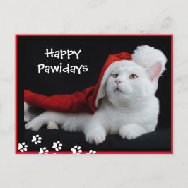 Cartão Postal Feliz PawFriday, Cat, Art Postcard