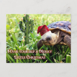 Cartão Postal Feliz Pequeno Natal - Desert Tortoise