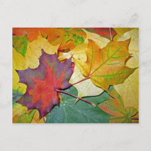 Cartão Postal Feliz por estarem juntos