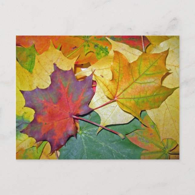 Cartão Postal Feliz por estarem juntos (Frente)