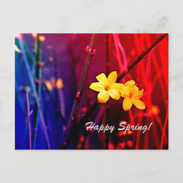 Cartão Postal Feliz Primavera (Frente)
