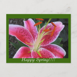 Cartão Postal Feliz Primavera!!Cartão postal
