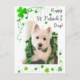 Cartão Postal Feliz Rua, Dia de Patrick, Cachorro Westie está pr