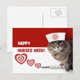 Cartão Postal Feliz Semana das Enfermeiras. Gatinho engraçado