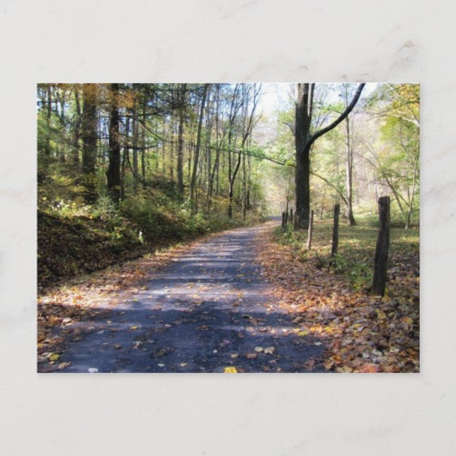 Cartão Postal Felizes Caminhos (Frente)