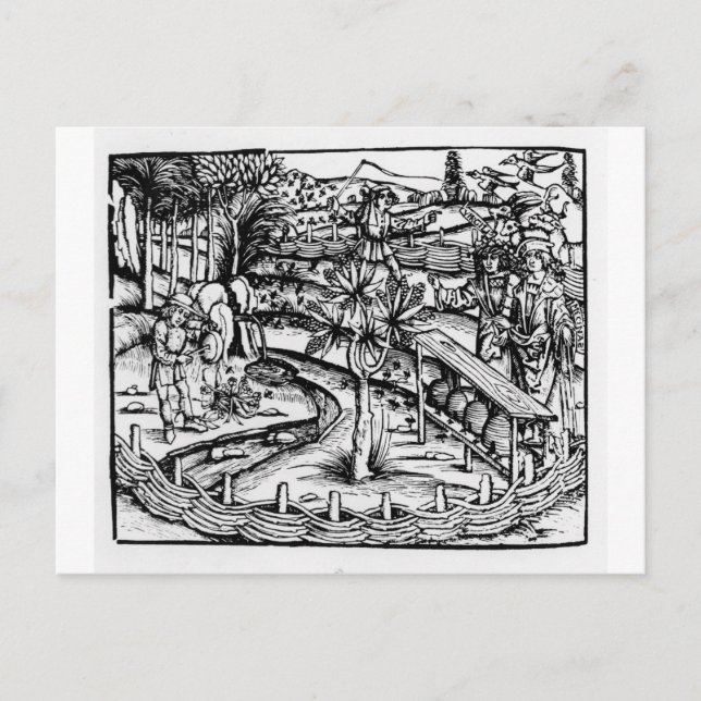Cartão Postal Felizes criadores que cultivam abelhas, ilustração (Frente)
