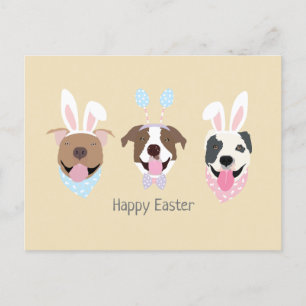 Cartão Postal Felz pascoa americano Pit Bull Terrier Dogs