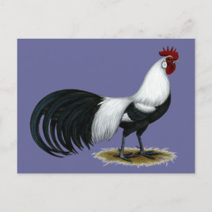 Cartão Postal Fênix: Galo Ducal Silver