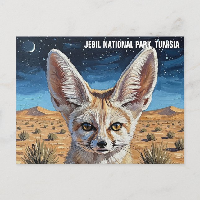 Cartão Postal Fennec Fox no Parque Nacional de Jebil, Tunísia (Frente)