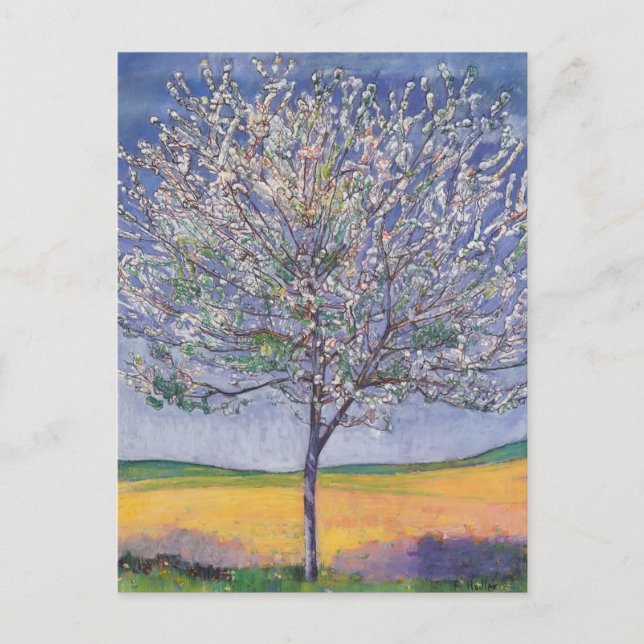 Cartão Postal Ferdinand Hodler - Árvore de Cereja em Bloom (Frente)