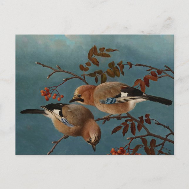 Cartão Postal Ferdinand von Wright - Gaios (Frente)