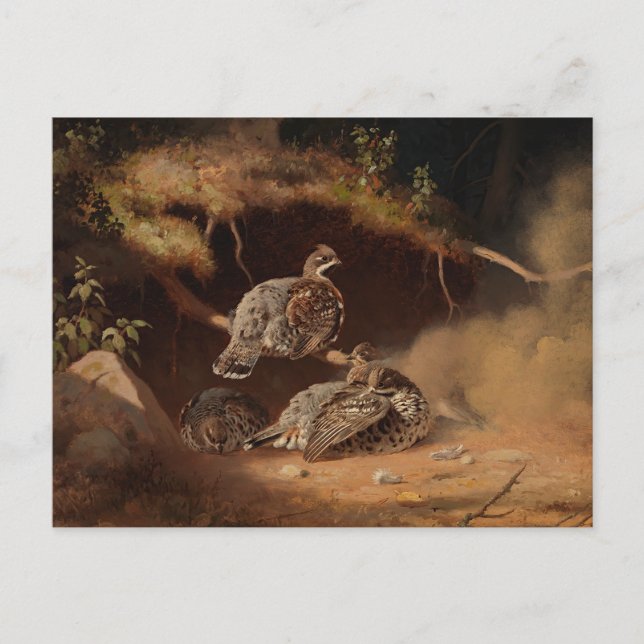 Cartão Postal Ferdinand von Wright - Hazel Grouse Wallow (Frente)