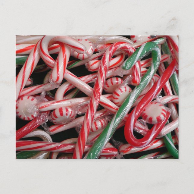 Cartão Postal Feriado de Natal Candy Canes and Peppermints (Frente)