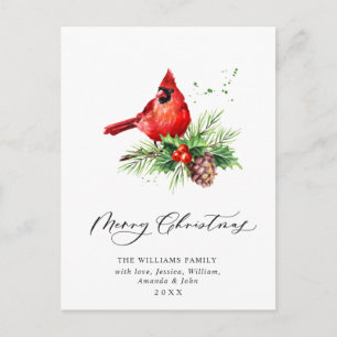 Cartão Postal Feriado de Natal da Cardeal Vermelha Holly Berry
