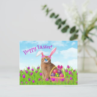 Cartão Postal Feriado de Primavera de Gato de Coelho da Páscoa