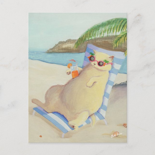 Cartão Postal Férias Beach Cat Sob Palm Tree (Frente)