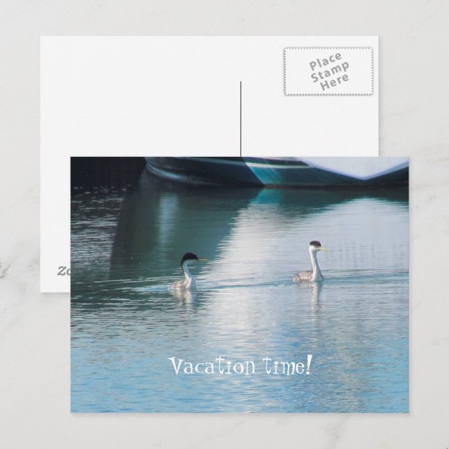 Cartão postal - Férias de Cruzeiro (Frente/Verso)