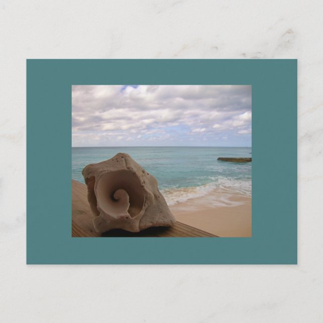 Cartão Postal Férias de praia de Seashell (Frente)
