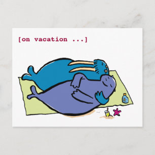 Cartão Postal Férias Walrus, [de férias...]