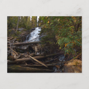 Cartão Postal Fern Falls no Parque Nacional Rocky Mountain