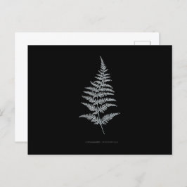 Cartão Postal Fern - Gymnogramma Chrysofila. Efeito de raios X -
