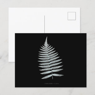 Cartão Postal Fern - Gymnogramma Villosa - Efeito de raios X - 0