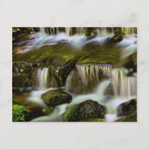 Cartão Postal Fern Spring, Yosemite National Park, California