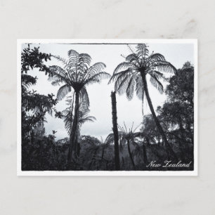 Cartão Postal Fern Tree Forest, Nature, Nova Zelândia