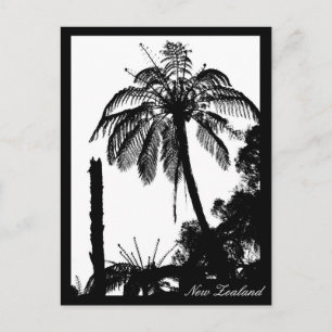 Cartão Postal Fern Tree Forest, Silver Fern, Natureza Nova Zelân