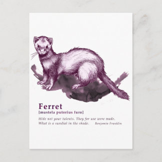 Cartão Postal Ferret - vinho