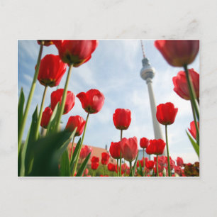 Cartão Postal Fersehturm Television Tower Berlin Alemanha