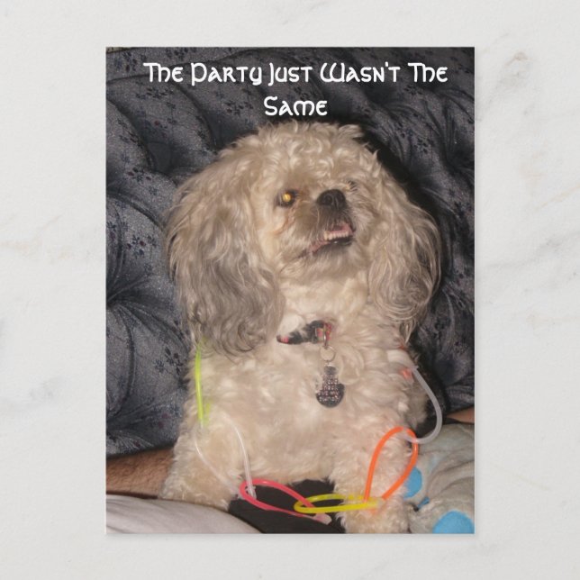 Cartão Postal Festa, a Festa não era a mesma (Frente)