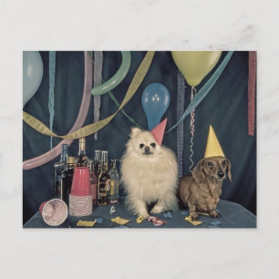 Cartão Postal Festa de Aniversário com Cães e Bebidas