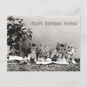 Cartão Postal Festa de Aniversário de Gatos Vintage Divertida Fo