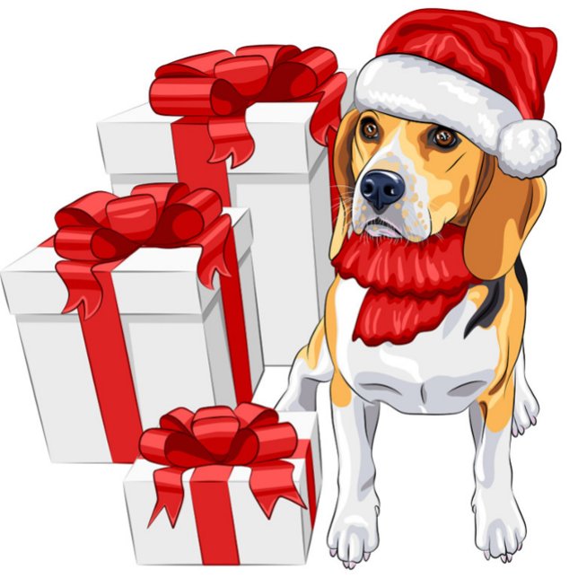 Cartão Postal Festa de Beagle (Festive Dog with Santa Claus Hat and Gift Boxes Post Card!)