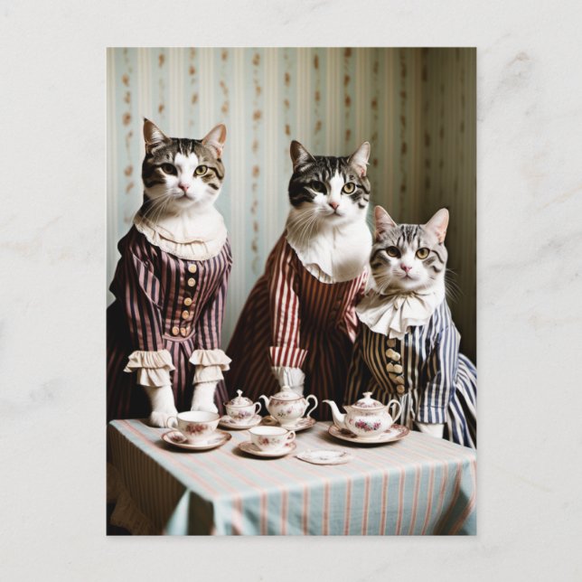 Cartão Postal Festa de Chá de Gatos (Frente)