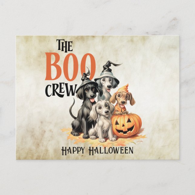 Cartão Postal Festa de Halloween Assustadores Cães Boo Laranja A (Frente)