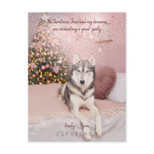 Festa de Natal sofisticada para Pet Foto