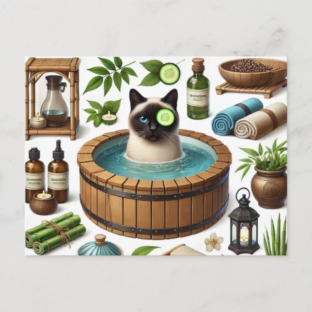 Cartão Postal Festa de spa para amantes de gatos siameses (Frente)