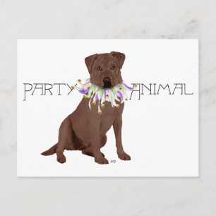 Cartão Postal Festa do Labrador Retriever Chocolate