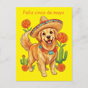 Cartão Postal Festa Pup Golden Retriever Cinco de Mayo