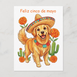 Cartão Postal Festa Pup Golden Retriever Cinco de Mayo