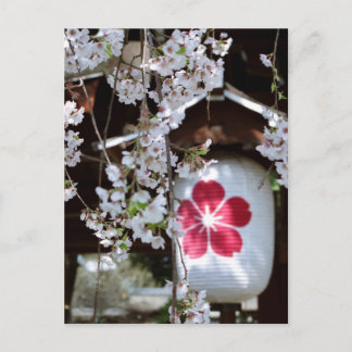 Cartão Postal Festival das Cerejeiras em flor em Quioto