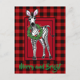 Cartão Postal Festivo Foliday Zebra Holly Wreath | búfalo vermel